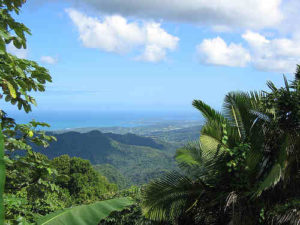 The Conservation Trust of Puerto Rico